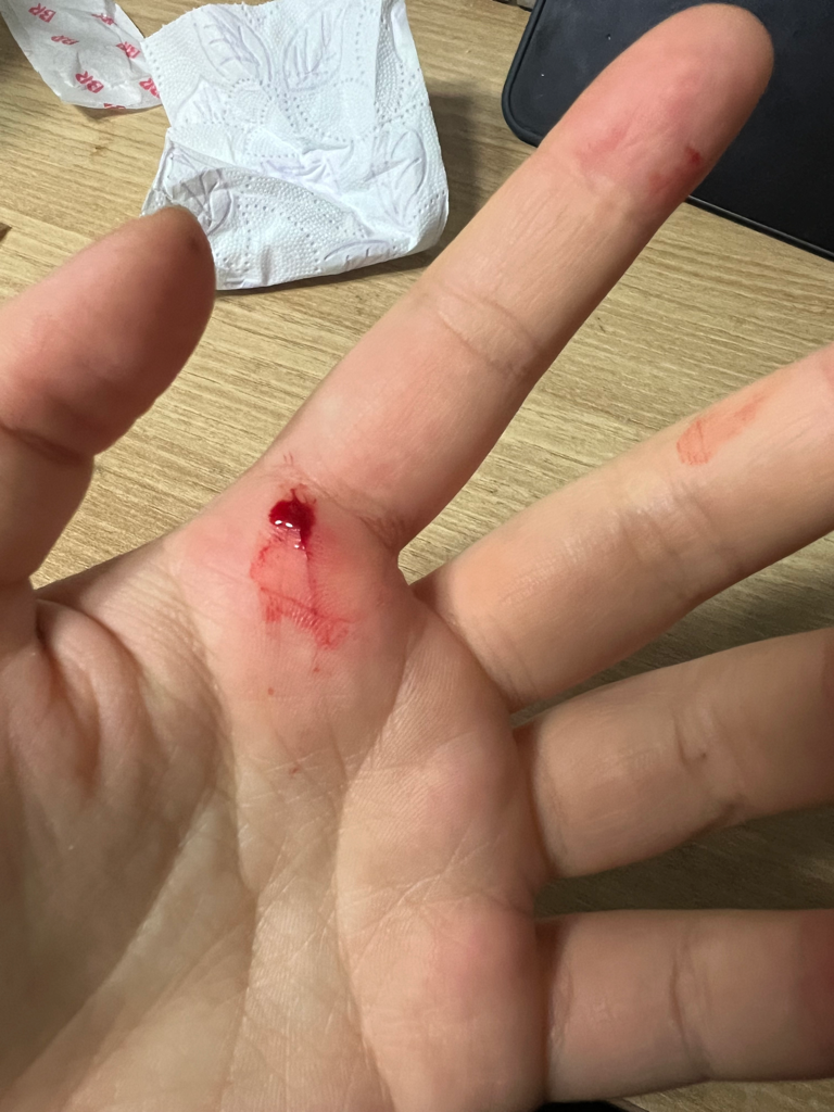 1번 째 사진