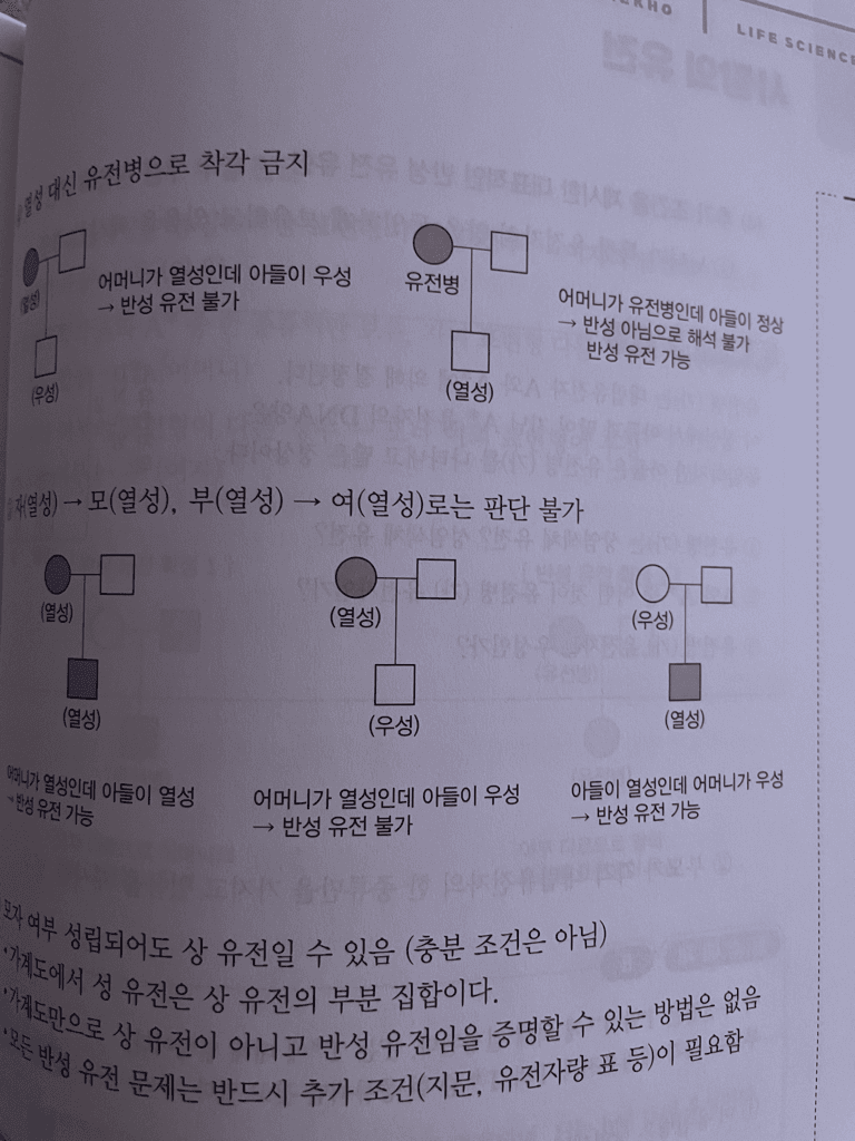2번 째 사진