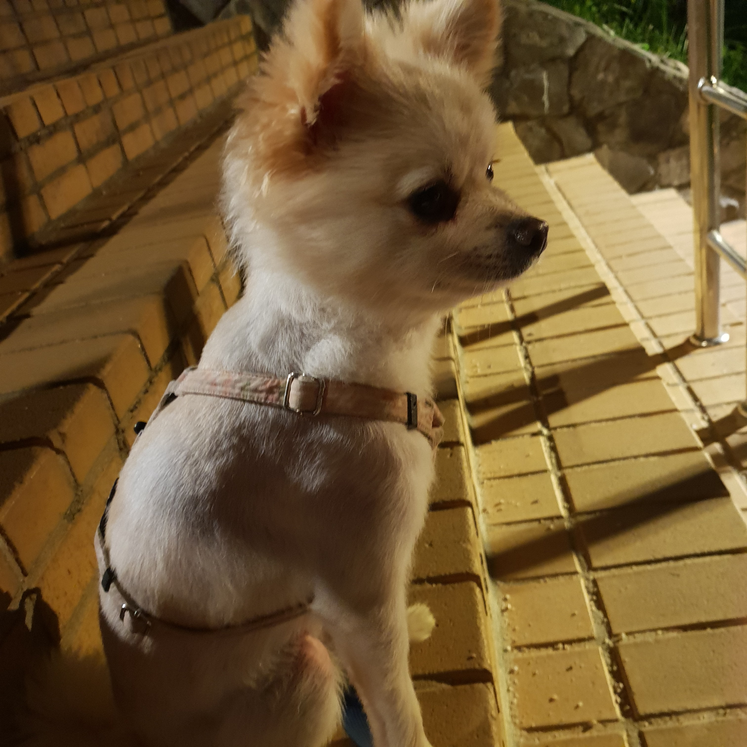 1번 째 사진