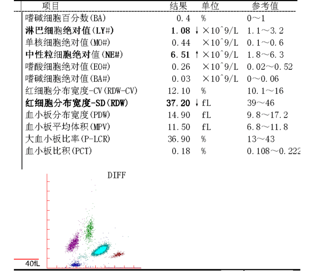 2번 째 사진