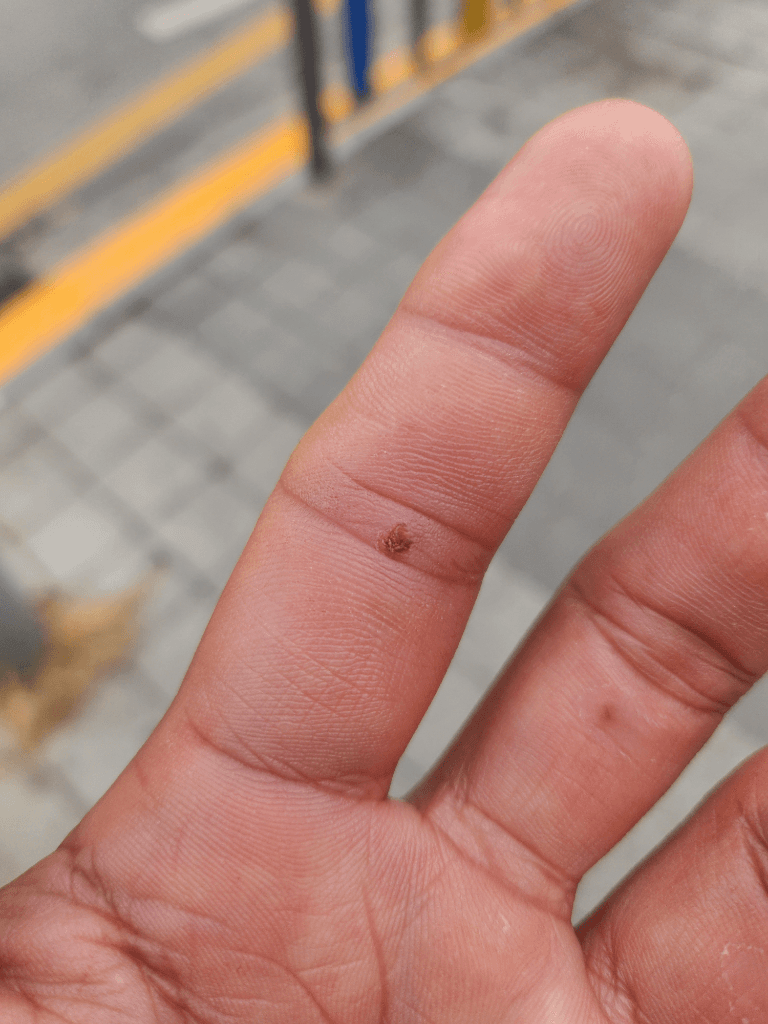 1번 째 사진