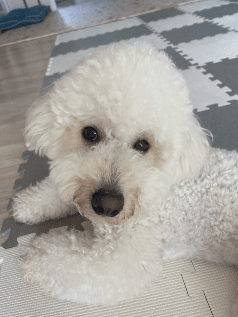 2번 째 사진
