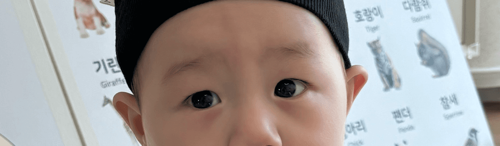 5번 째 사진