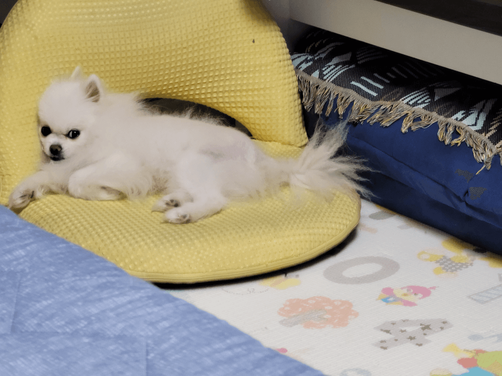 1번 째 사진