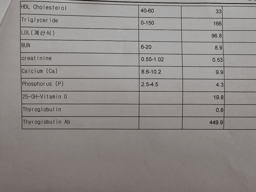 2번 째 사진