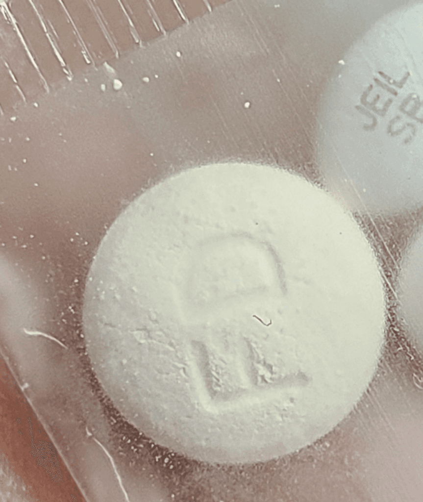 5번 째 사진