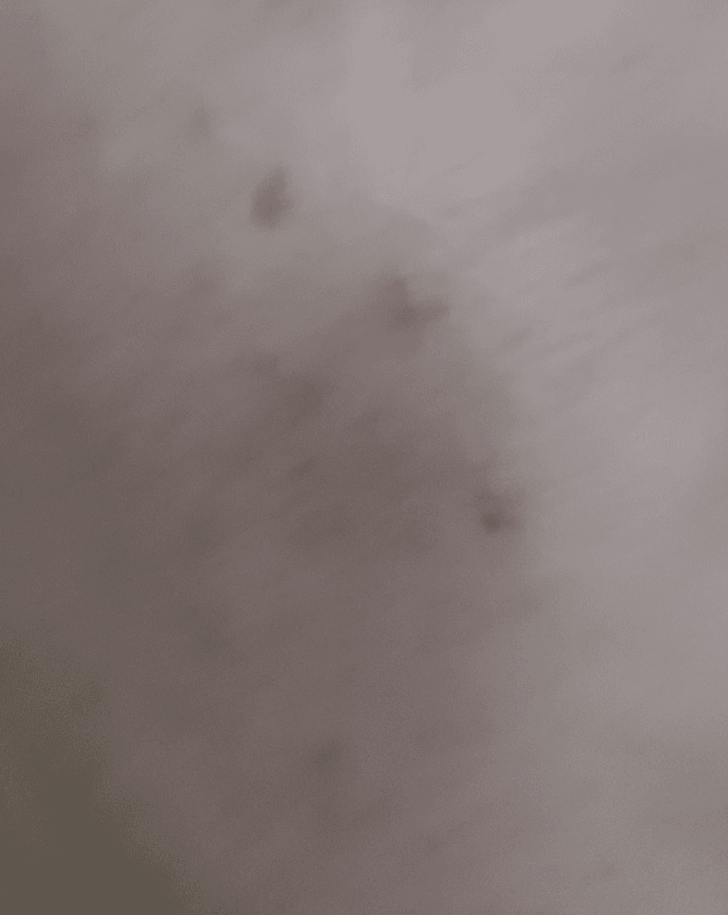 2번 째 사진