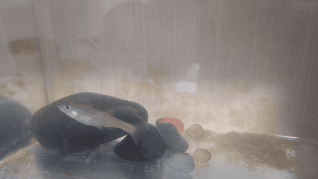 4번 째 사진