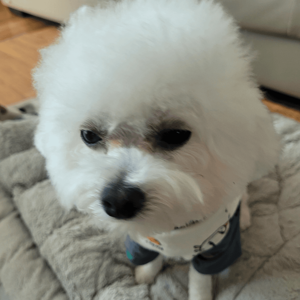 1번 째 사진