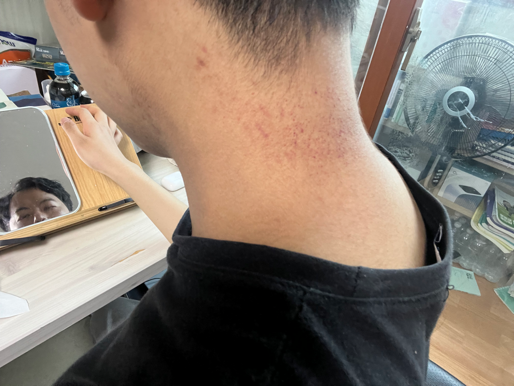 1번 째 사진