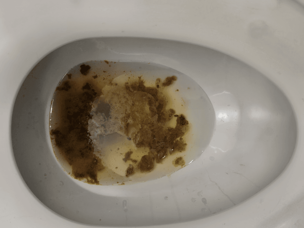 3번 째 사진