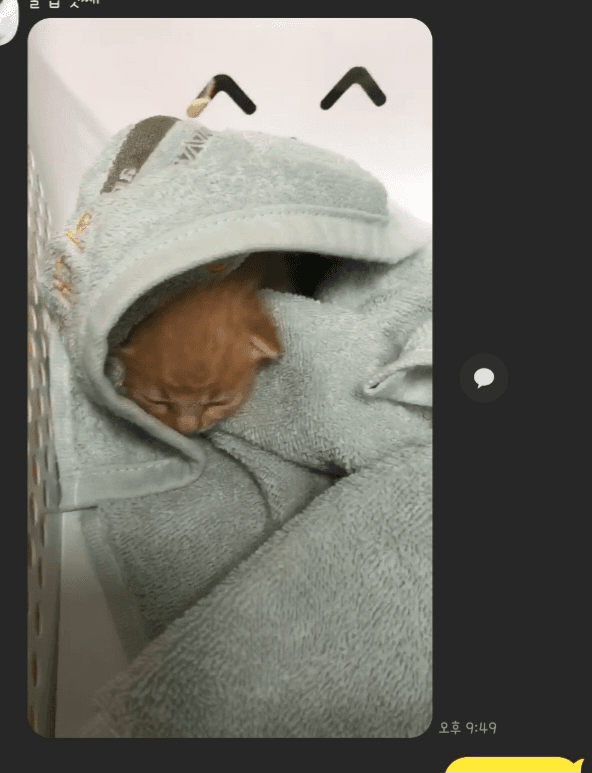 2번 째 사진