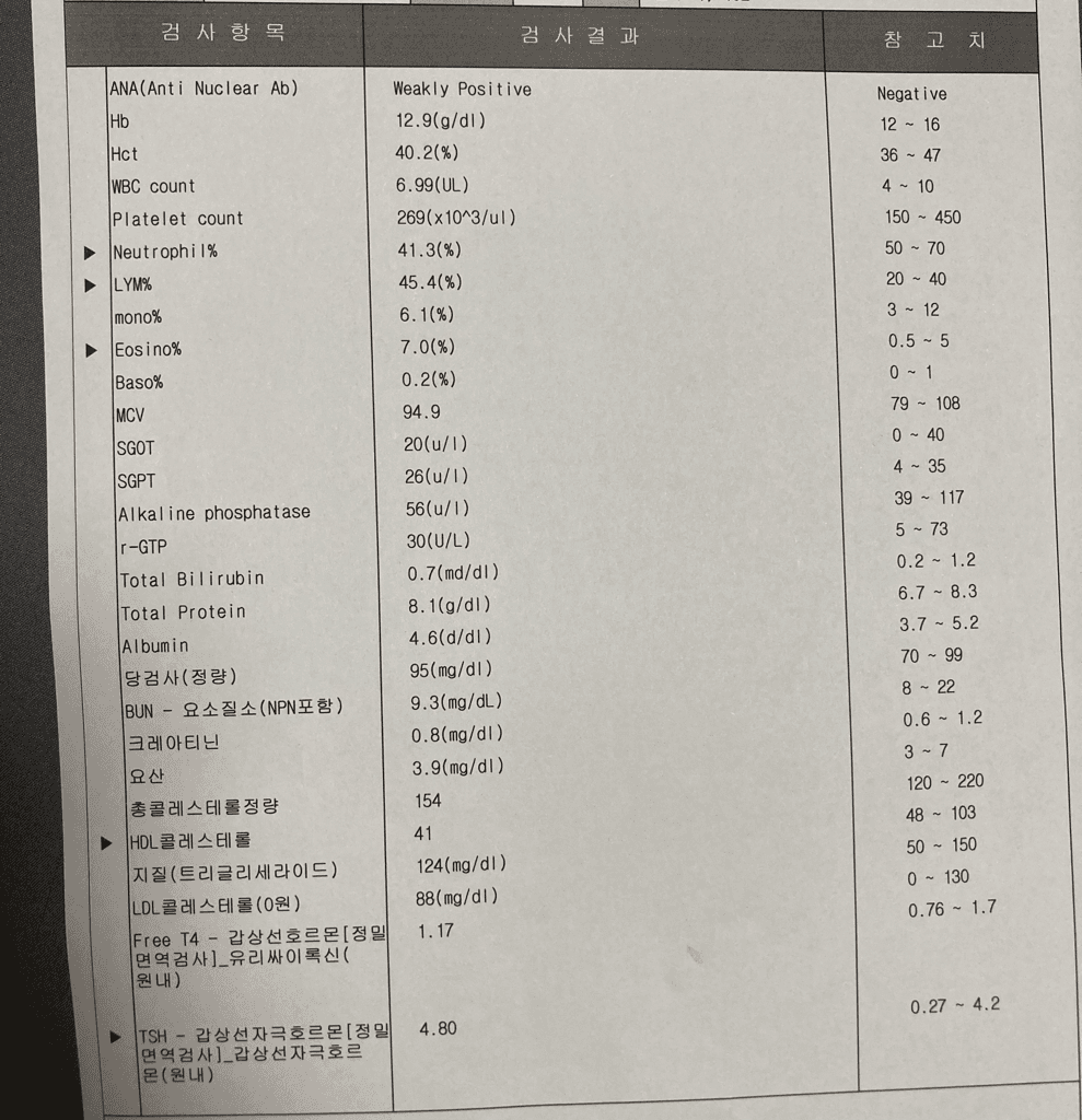 3번 째 사진