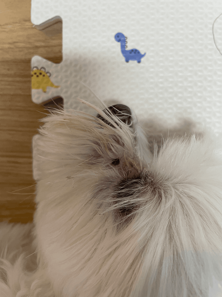 2번 째 사진
