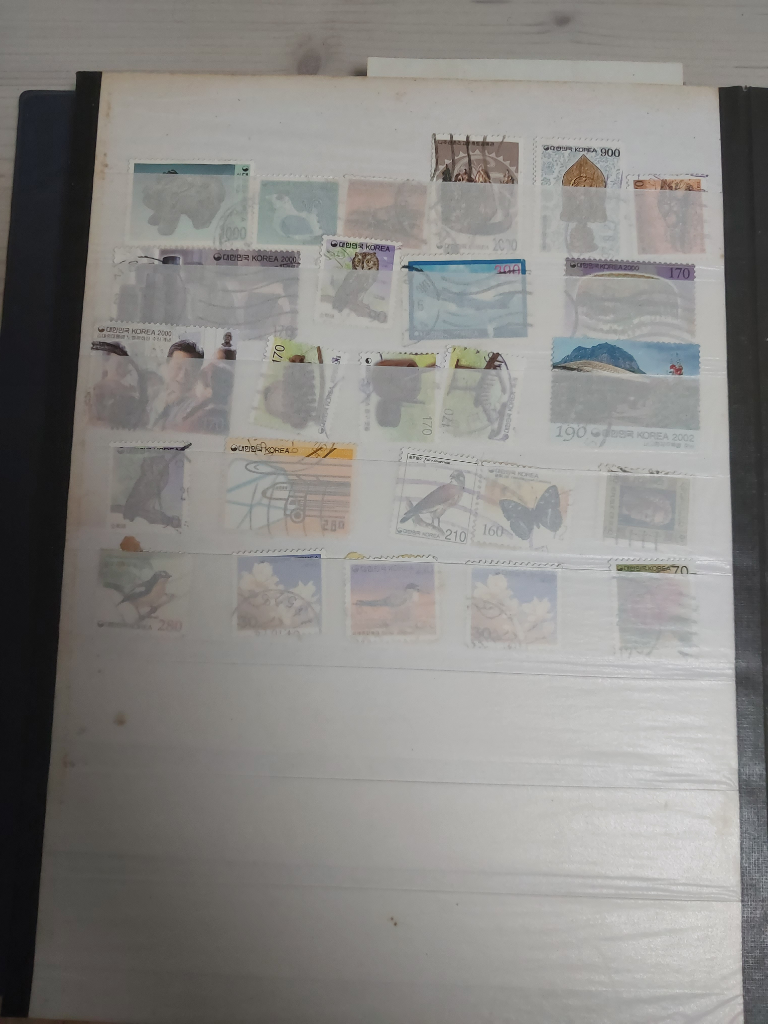 10번 째 사진