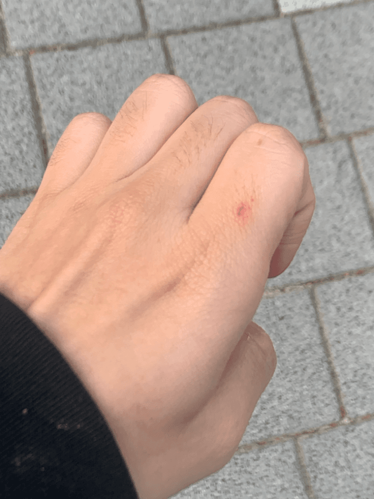1번 째 사진
