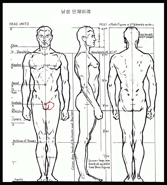 3번 째 사진