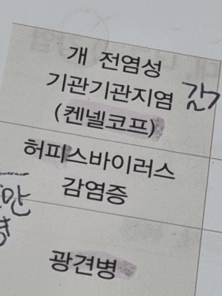 2번 째 사진