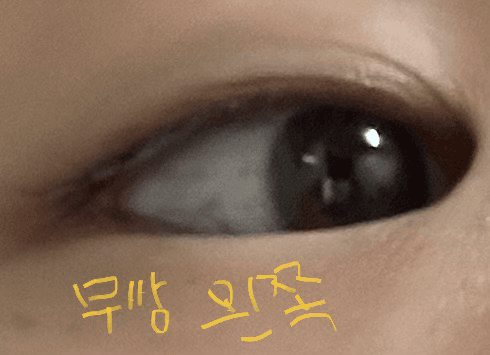 6번 째 사진