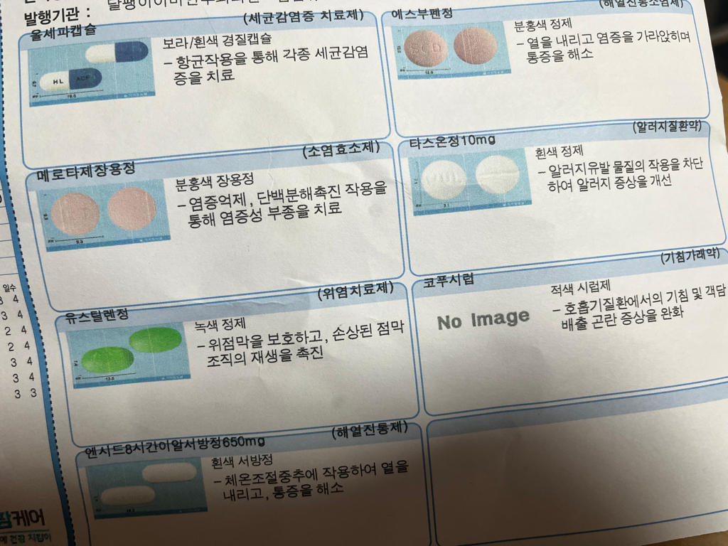 1번 째 사진