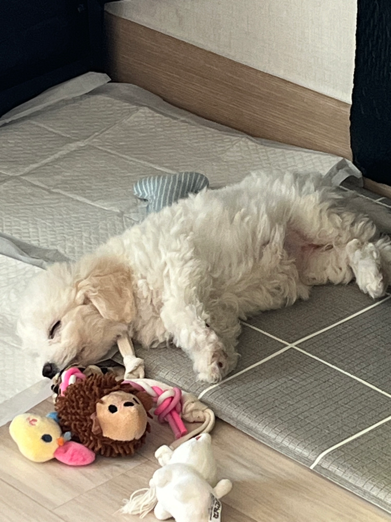 1번 째 사진