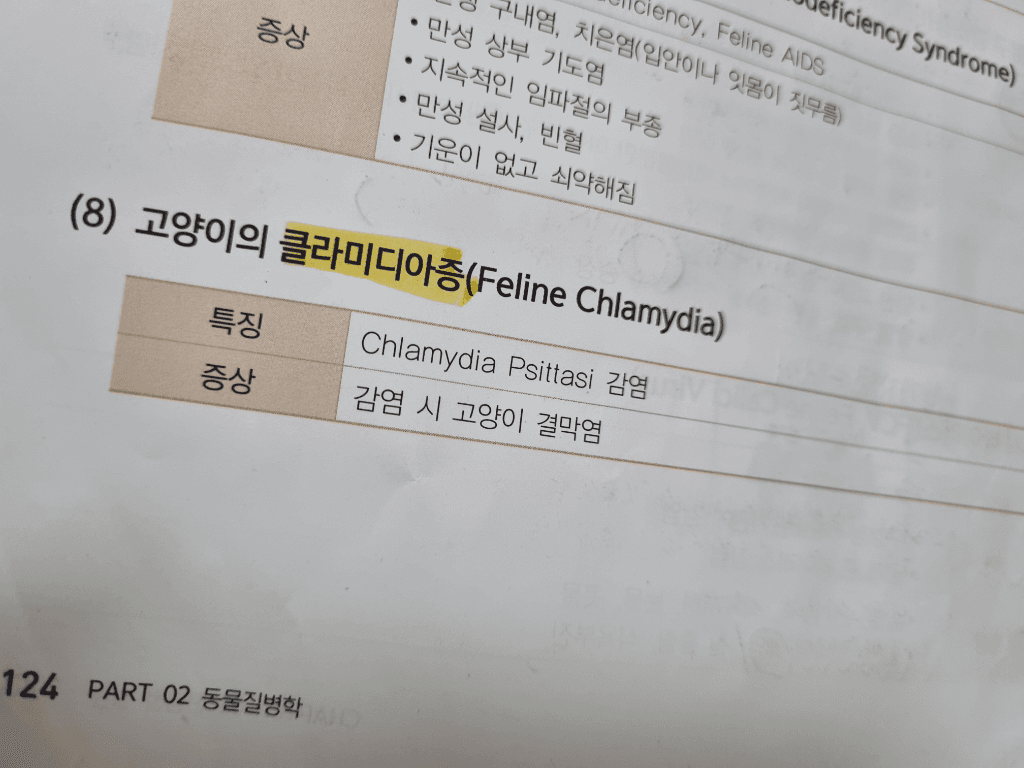 2번 째 사진