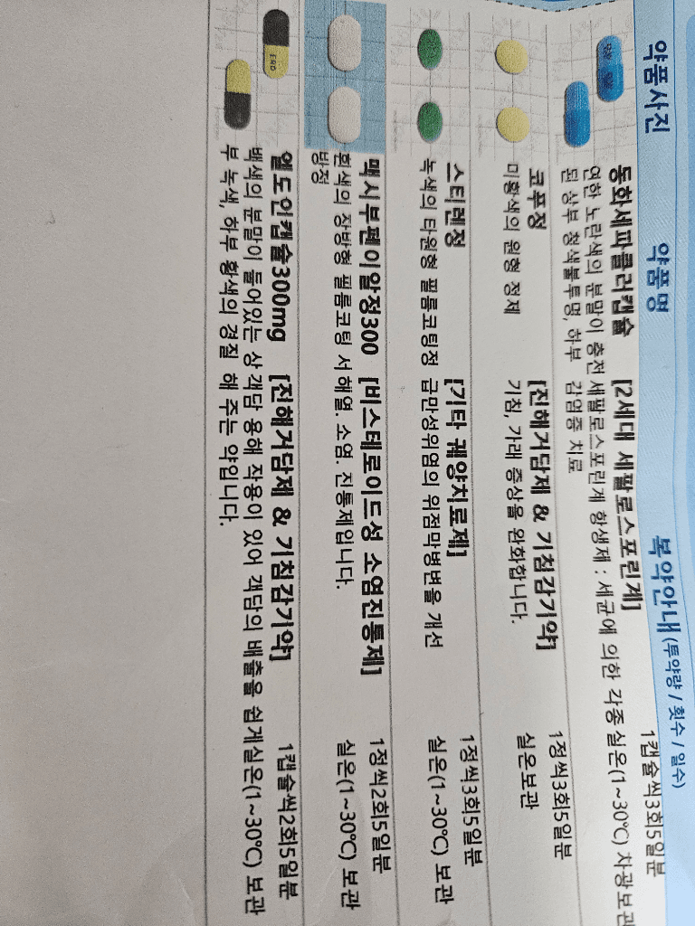 1번 째 사진