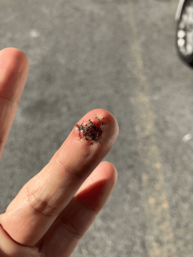1번 째 사진