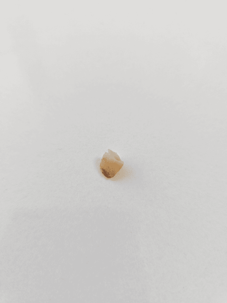 2번 째 사진