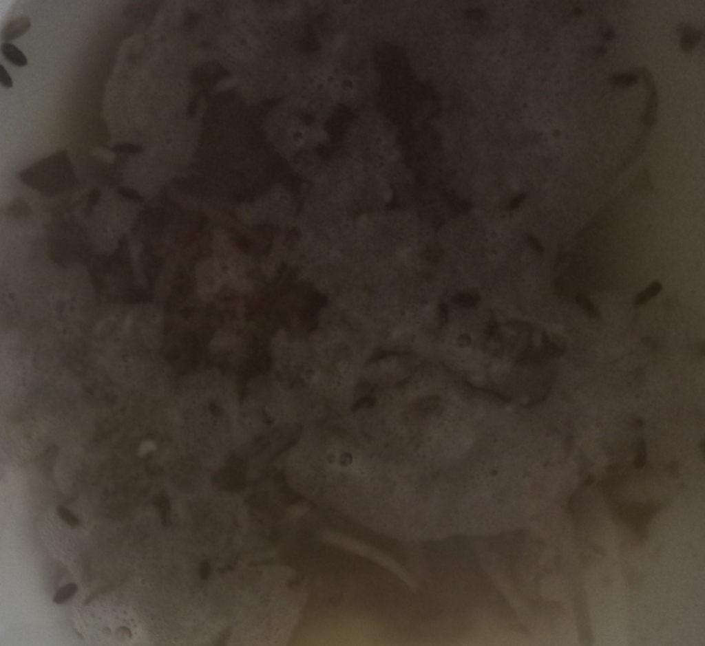 2번 째 사진