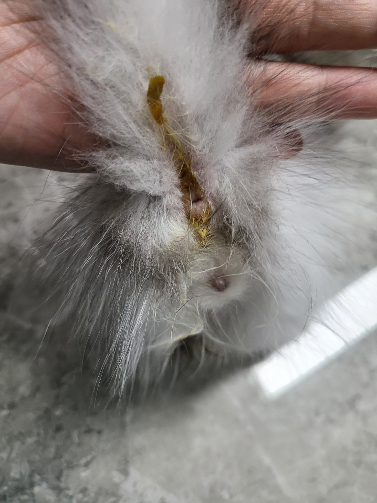 2번 째 사진