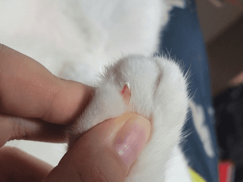 1번 째 사진