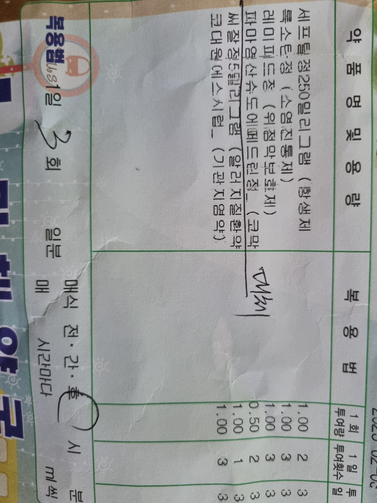 3번 째 사진