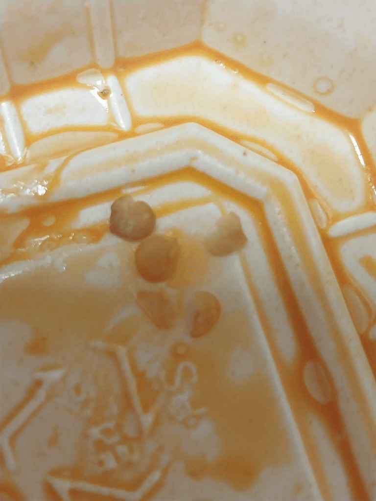 3번 째 사진