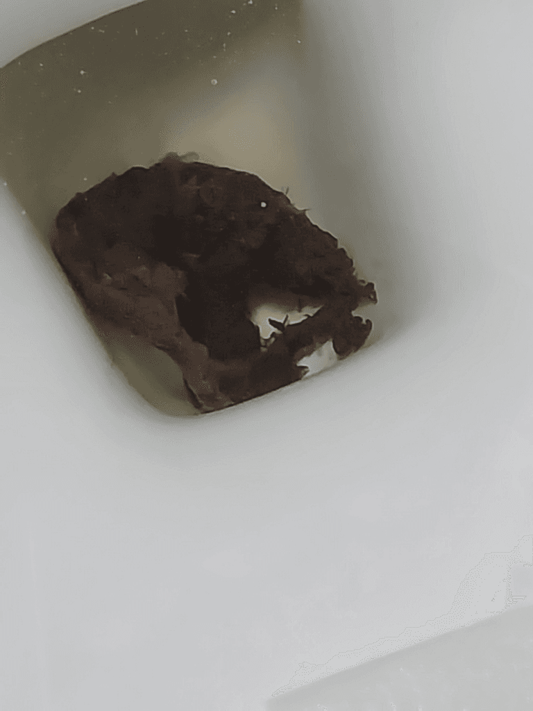 2번 째 사진