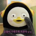 얌전한발발이207