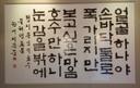 심각한나비95