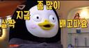 굳건한코요테108
