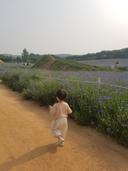 선량한밀잠자리52