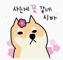 지적인사마귀115