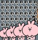 소중한바구미208