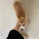 알뜰한펭귄58