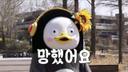 심각한물범224