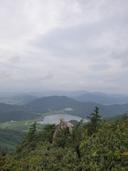 세련된사마귀53
