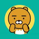 대단한도요252
