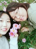 털털한키위288