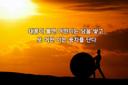 귀중한스라소니70