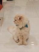 영악한생쥐178