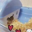 고혹적인나비167