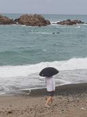 총명한물소148